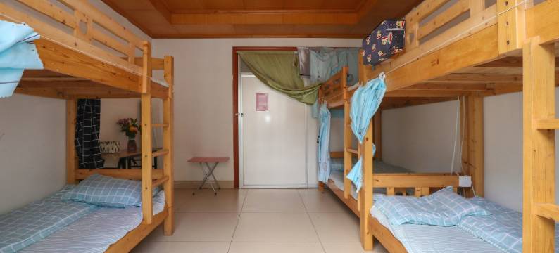 素树民宿(南宁北湖北路店)图片