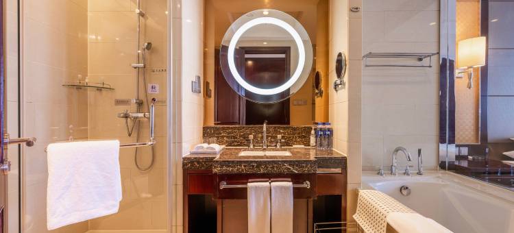 安徽高速开元国际大酒店图片