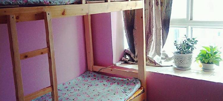 书友理想国主题青年旅舍(西安大明宫遗址公园店)图片