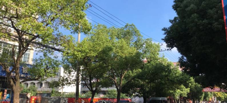 苏州云海宾馆图片