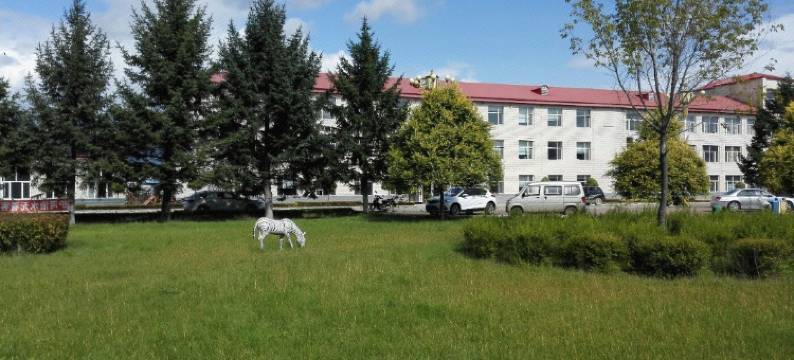 依兰恒悦宾馆图片