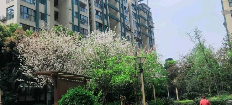 成都紫馨公寓图片