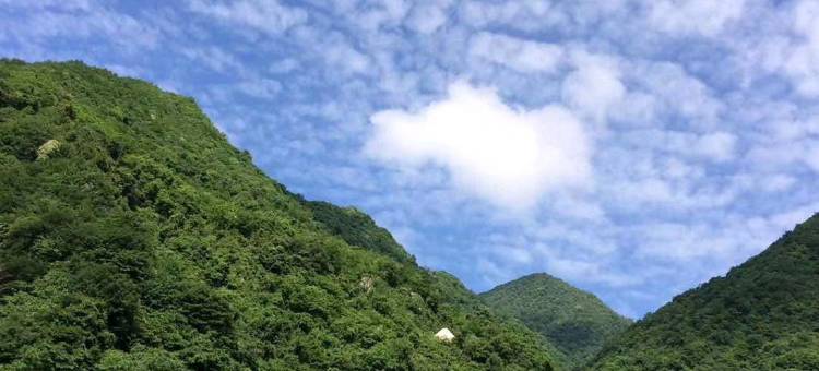青川怡家小筑乡村酒店图片