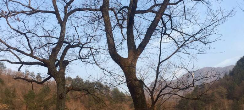 金寨晨宇小镇客栈图片