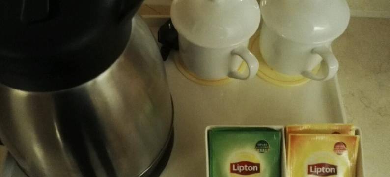 汉源梨城宾馆图片