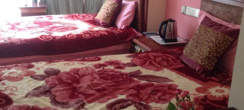 金川德青宾馆(观音路分店)图片