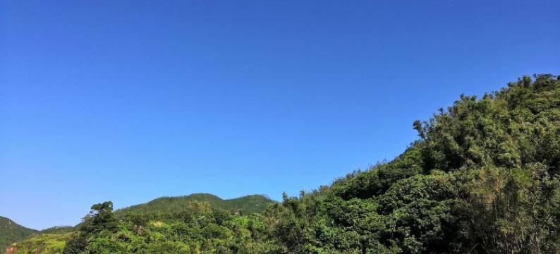 横琴伴园民宿(珠海长隆旅游度假区店)图片