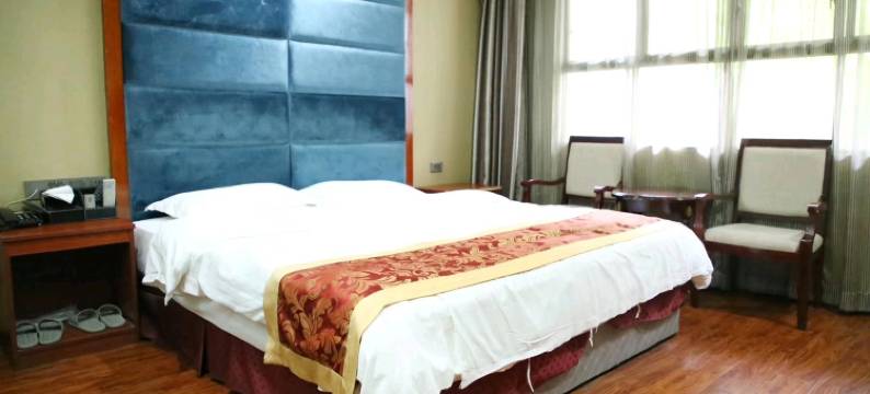 雷山苗岭铁牛商务酒店图片