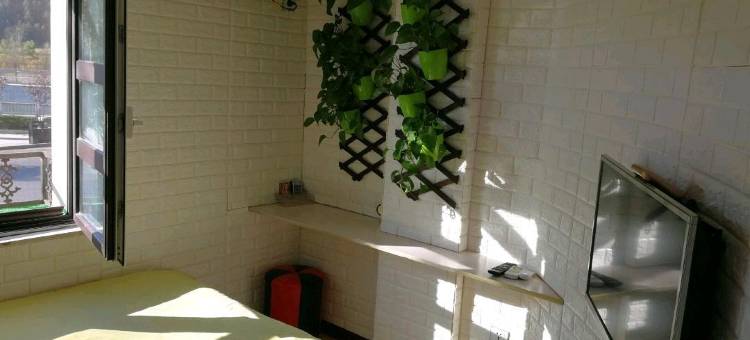 新宾爱琴海主题宾馆图片