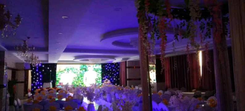 合肥朝阳大酒店(瑞泰公园奥来科技生产园店)图片