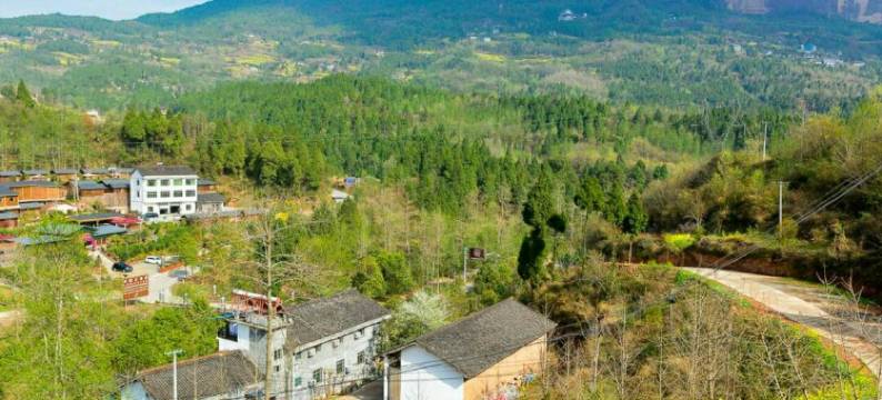 剑阁刘氏乡村酒店图片