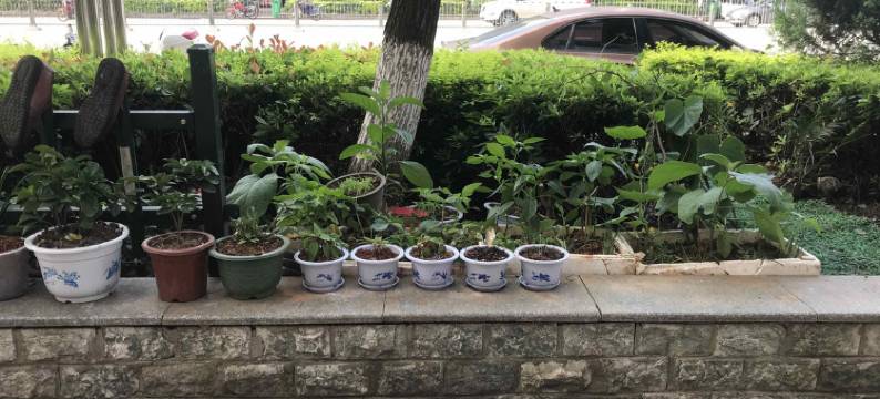 邵东人和宾馆图片