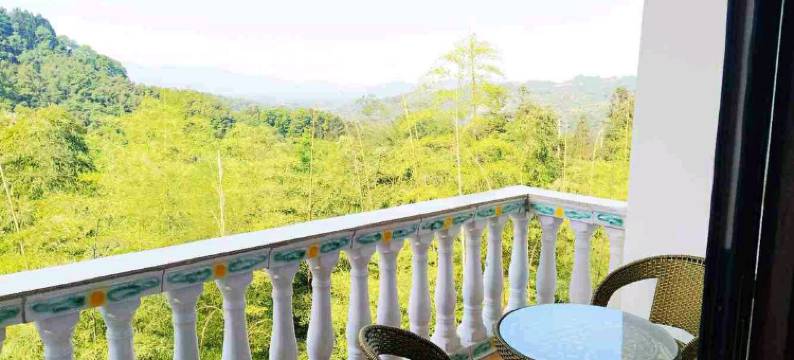 雅安星辉民宿(碧峰峡店)图片