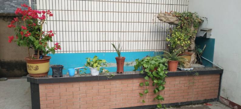 连云港枫林客栈图片