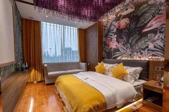 成都晨可影院式主题公寓