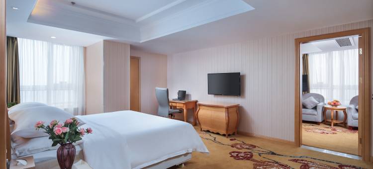 维也纳酒店(阜阳火车站店)图片