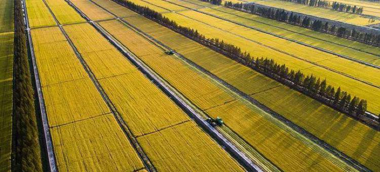 上海红房子农家乐图片