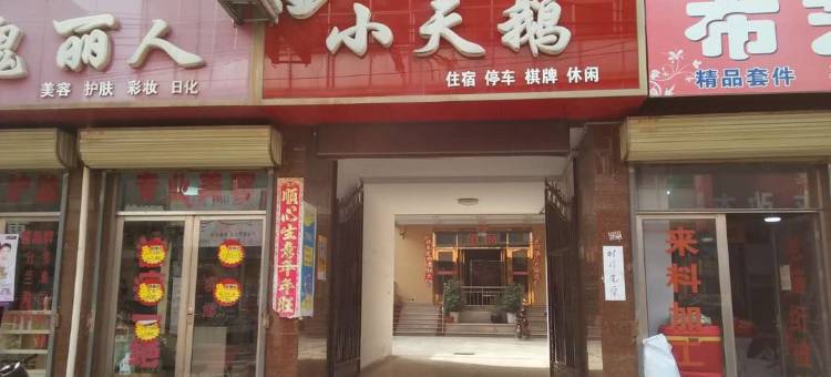 夏县小天鹅宾馆图片