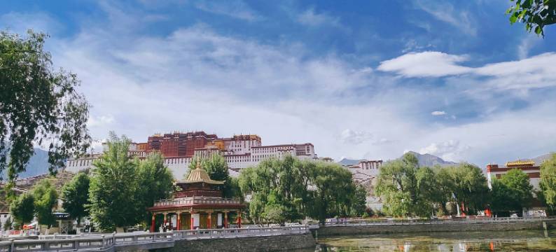 拉萨花语主题客栈(大昭寺八廓街店)图片