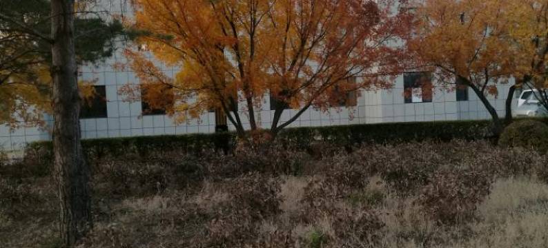 通榆向海屯绿色农家院图片