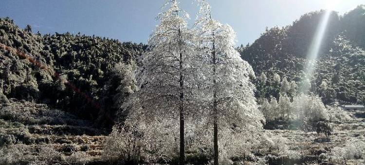 九华山竹林人家农家乐图片