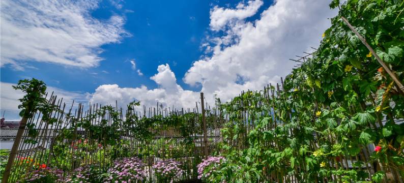 大理时久阁客栈图片