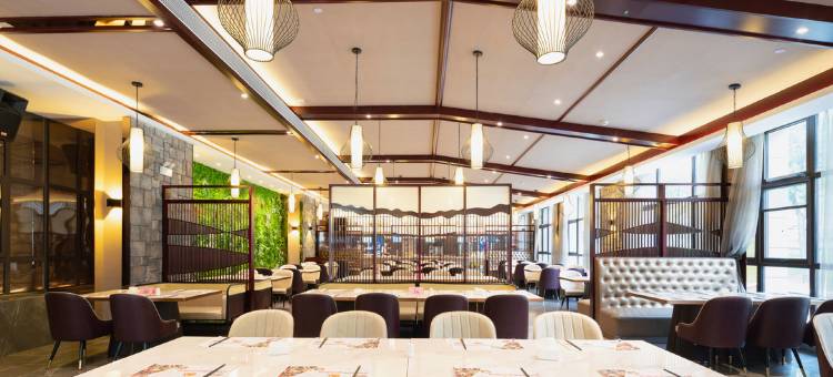 招远招金舜和国际饭店图片