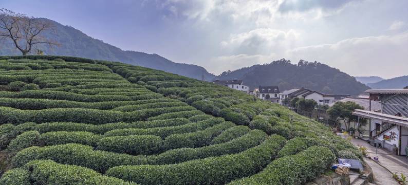 杭州清静民宿(西湖风景区梅家坞店)图片