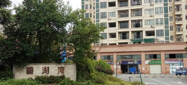 维也纳国际酒店(东莞凤深大道店)图片