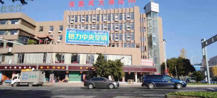 佰嘉成大酒店(大余林丰店)图片