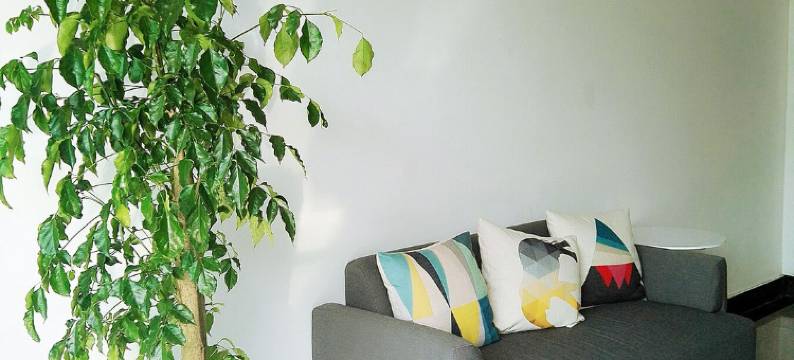 太仓索菲娅精品酒店图片