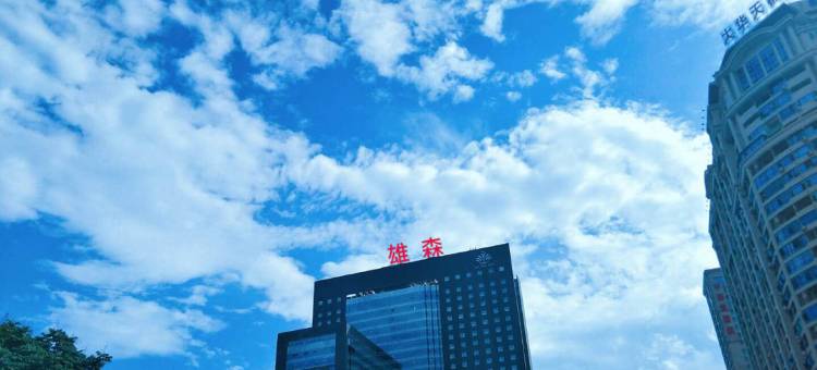 郴州雄森国际假日酒店图片