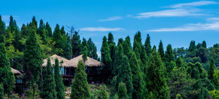 G348墅野山居图片