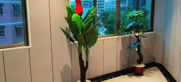 小城客栈(博罗店)图片