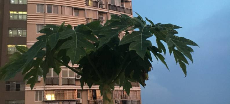 清远碧水蓝天公寓图片