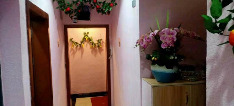 毕节婷婷主题公寓图片