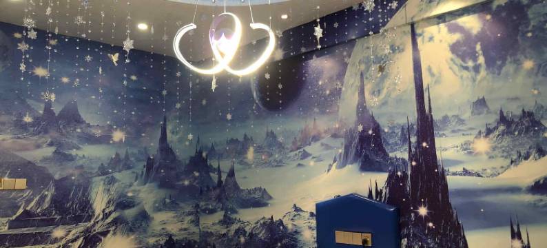 洛南樱花主题酒店图片