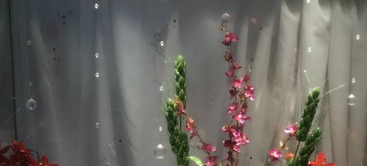 乐清彩云宾馆图片