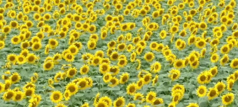 壶关清风雅居民宿图片