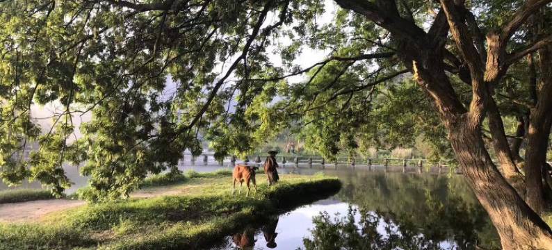 仙都必胜楼图片