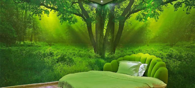 涟源梵品主题客栈图片