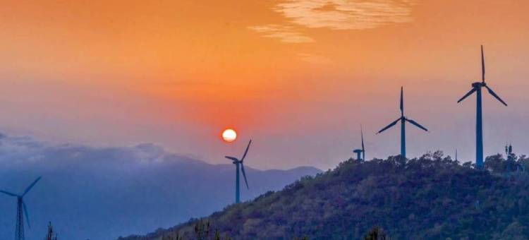 疯子的店·咖啡民宿(南澳岛青澳湾店)图片