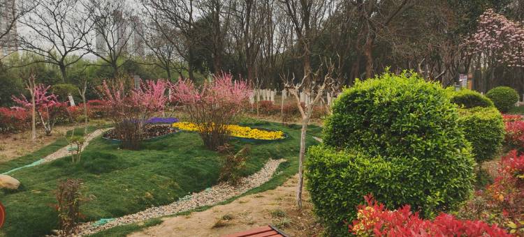 平顶山体育村宾馆图片