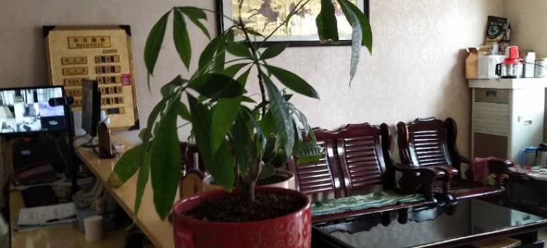 鄯善宝兴宾馆图片