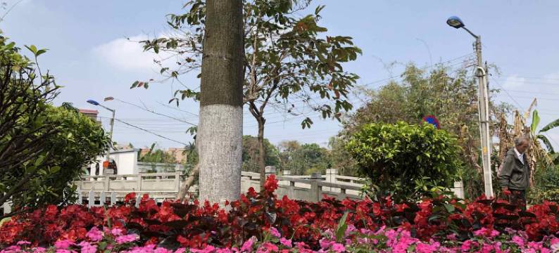 广州忘不了公寓图片