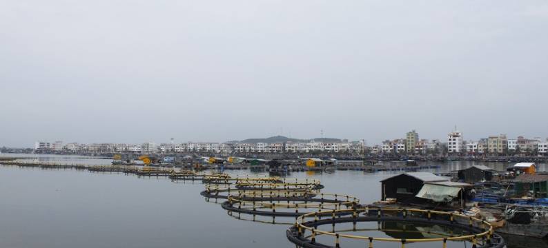 雷州天成台旅游度假村图片