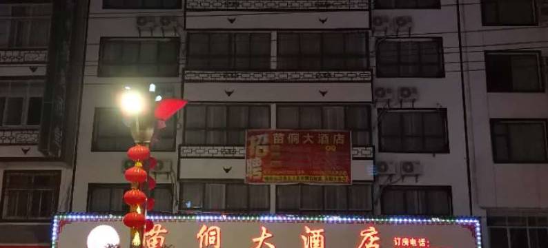 从江苗侗大酒店图片