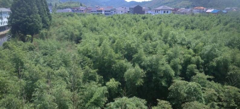 杭州老兵庄园图片