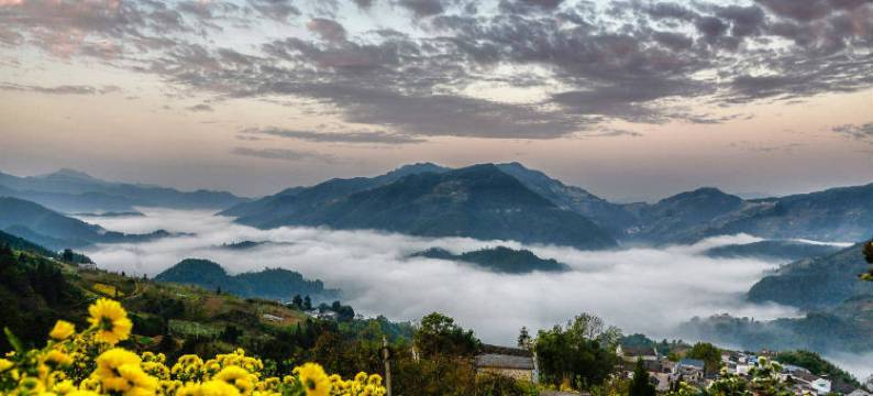 歙县坡山惠民客栈图片