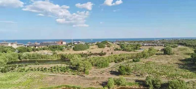 首领湘湾公寓(阿卡小镇店)图片